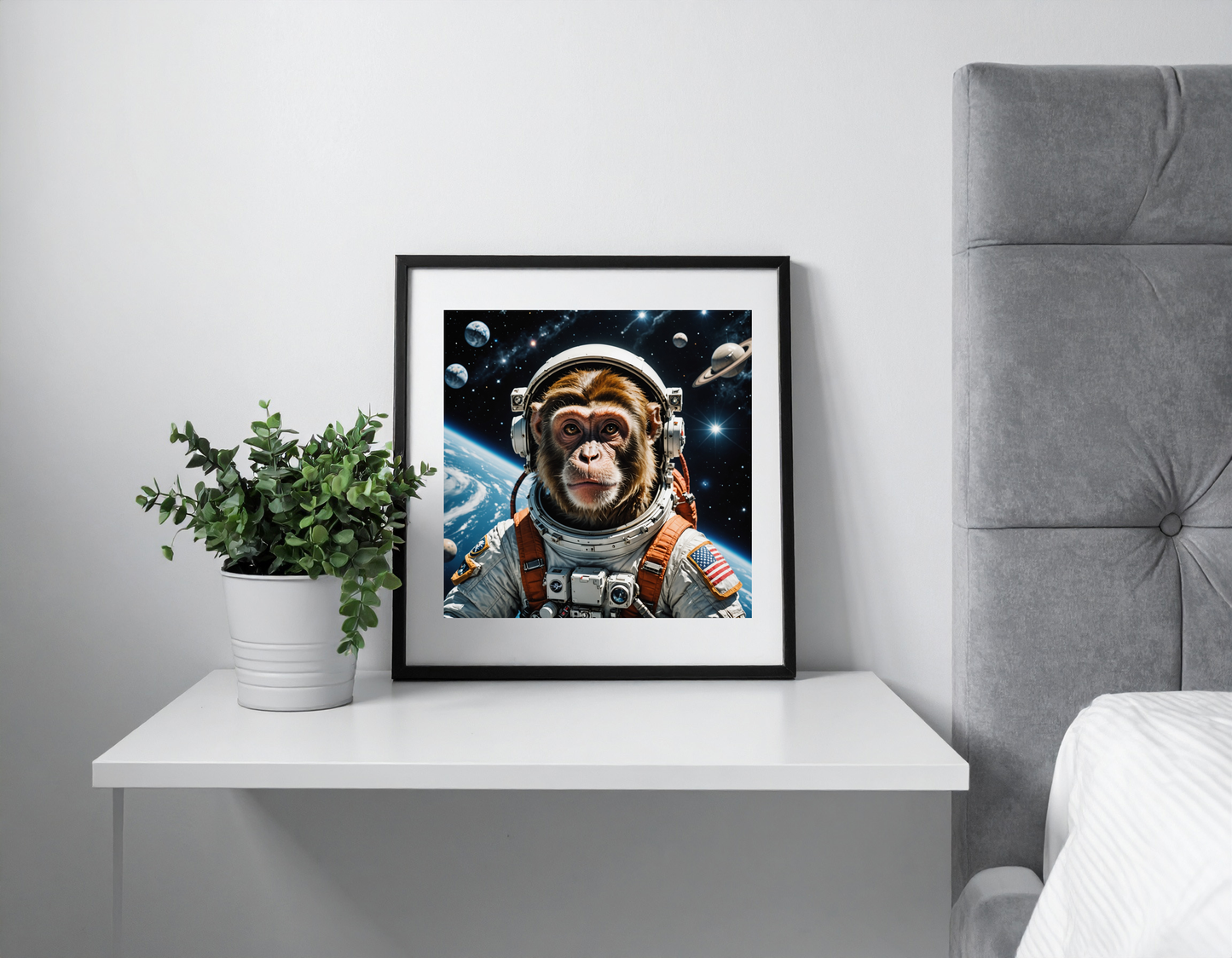 Monkey in space