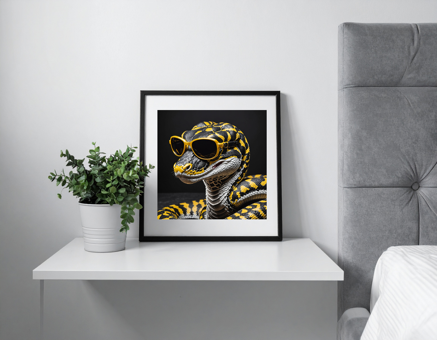 python with sunglasses
