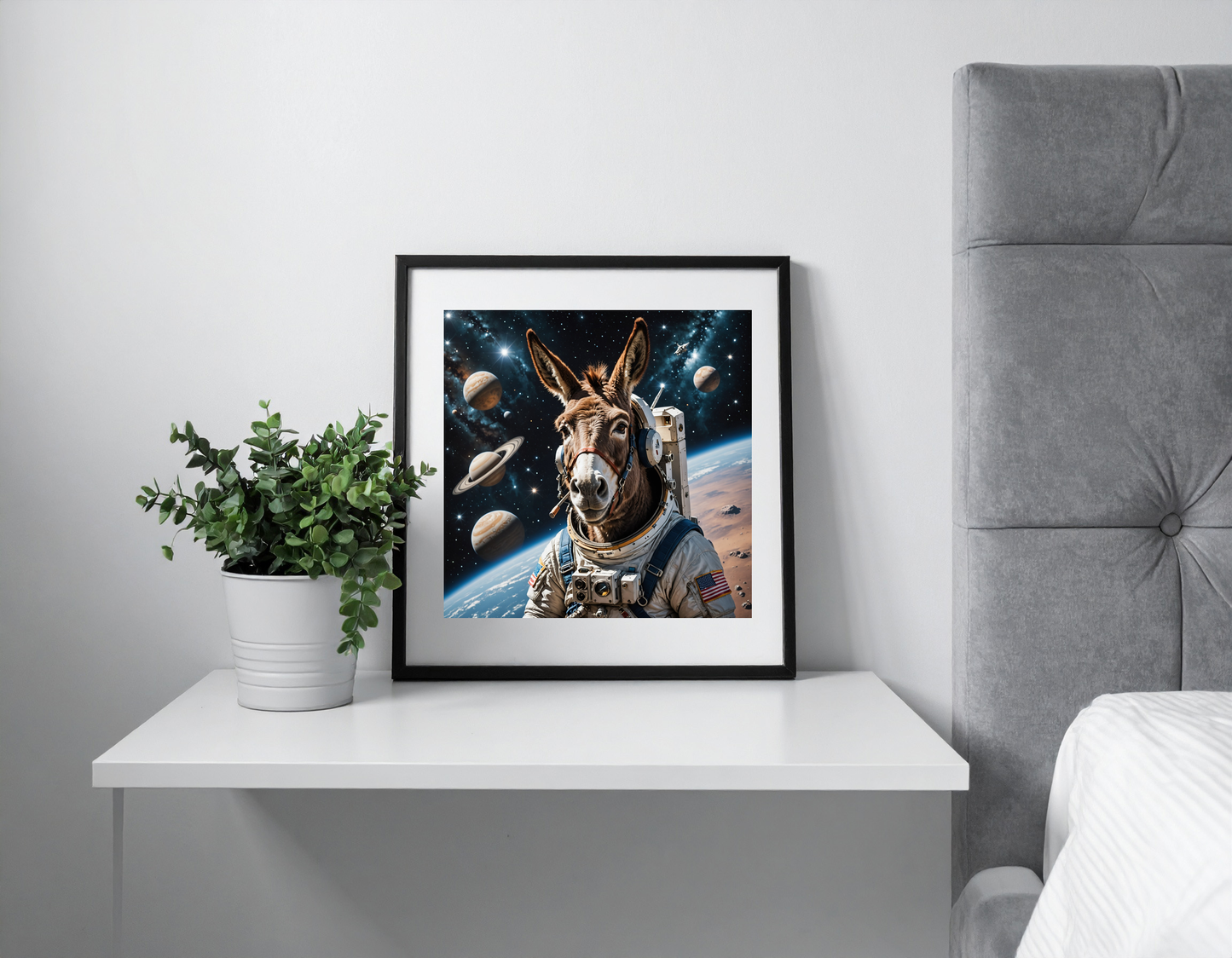 donkey in space