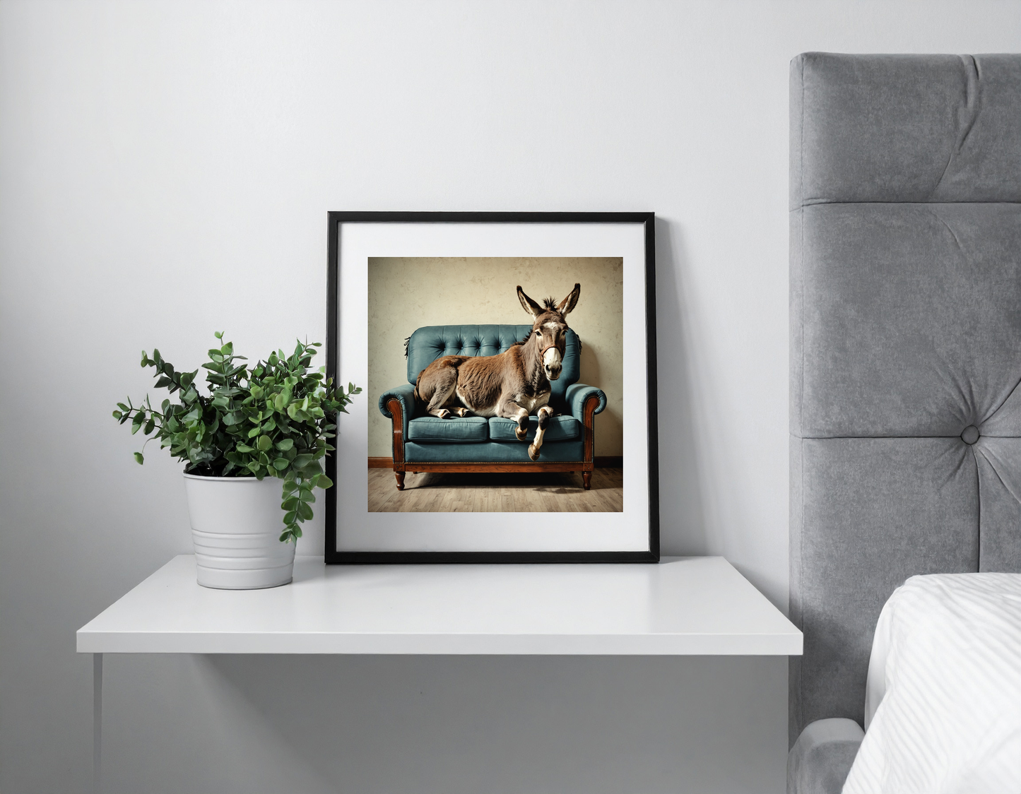 Donkey on couch