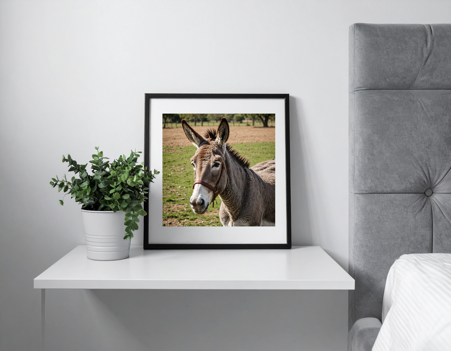 donkey with buttoned shirt