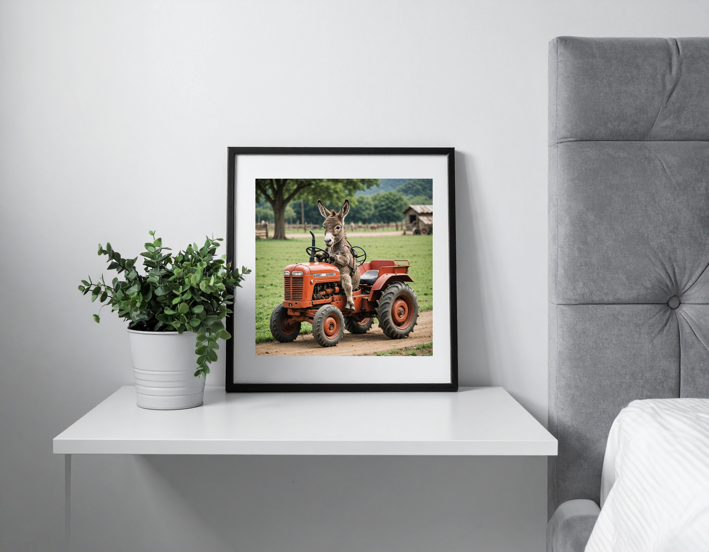 Baby donkey driving a tractor