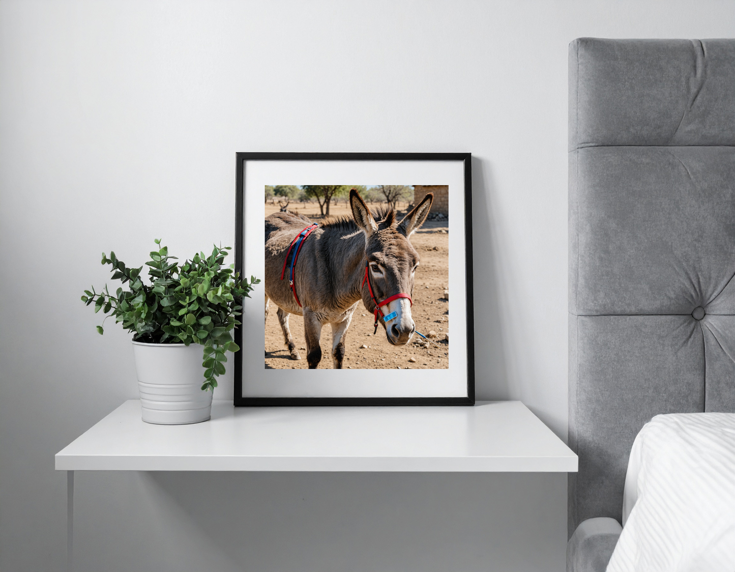 Donkey with a fever thermometer in its mouth