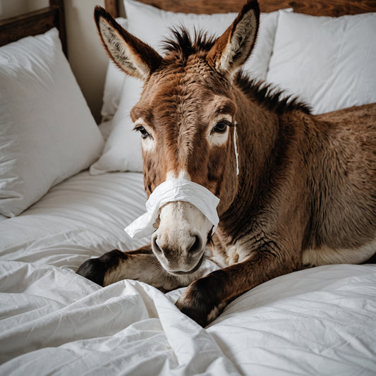 Donkey using a tissue and laying in bed